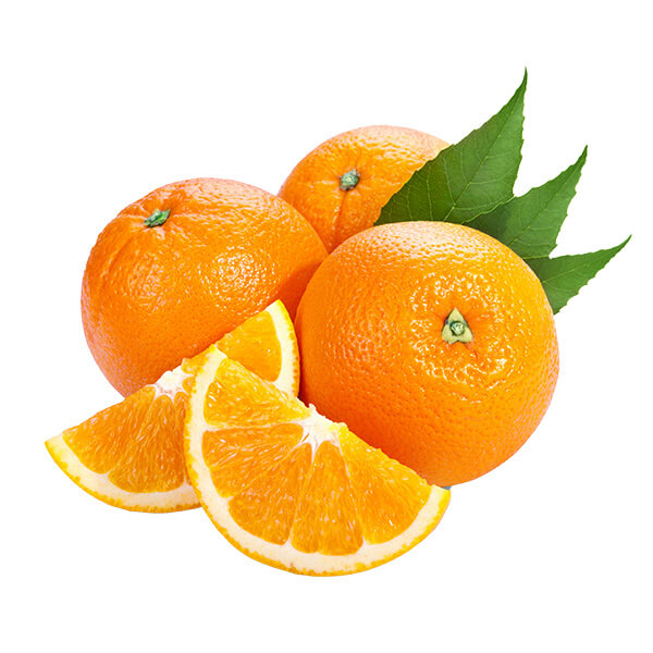 o5